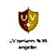 UV-ışınları